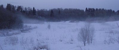 DSCF2380.JPG