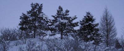 DSCF2384.JPG