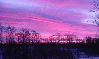 DSCF2709.JPG