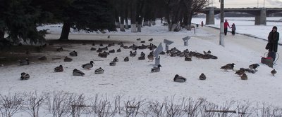 DSCF2743.JPG