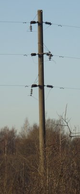 DSCF3289.JPG