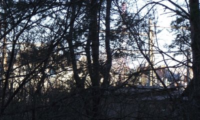 DSCF3386.JPG