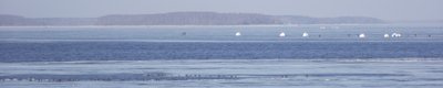 DSCF3424.JPG