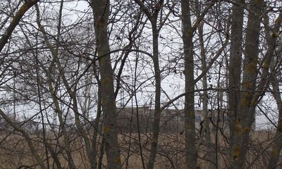 DSCF3469.JPG