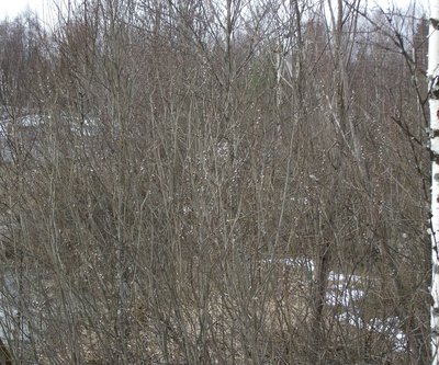 DSCF3444.JPG