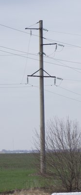 DSCF4013.JPG