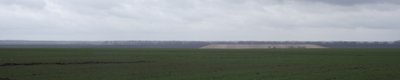 DSCF4207.JPG