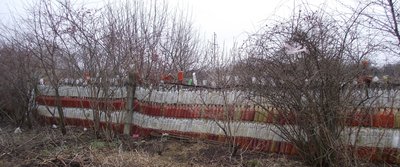 DSCF4266.JPG