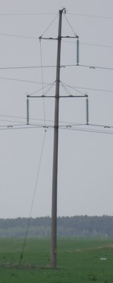 DSCF4633.JPG