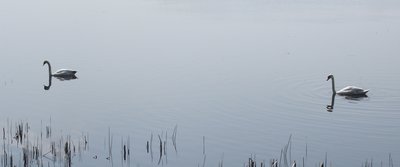 DSCF4832.JPG