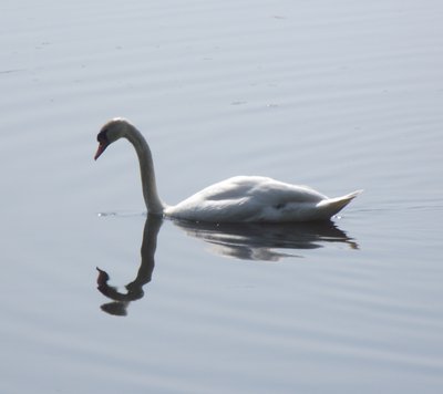 DSCF4833.JPG