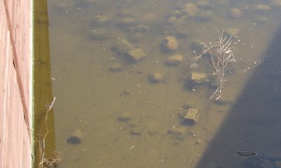 DSCF4841.JPG