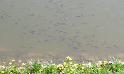 DSCF4873.JPG
