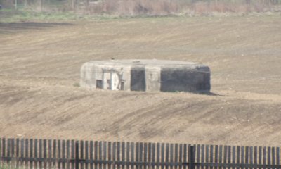 DSCF4319.JPG