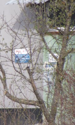 DSCF5321.JPG
