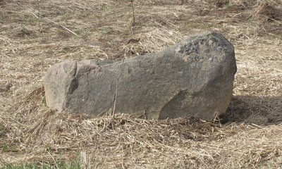 DSCF5066.JPG