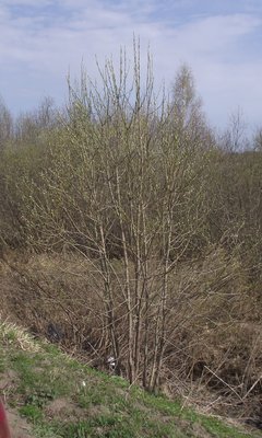 DSCF5067.JPG