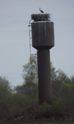 DSCF5070.JPG