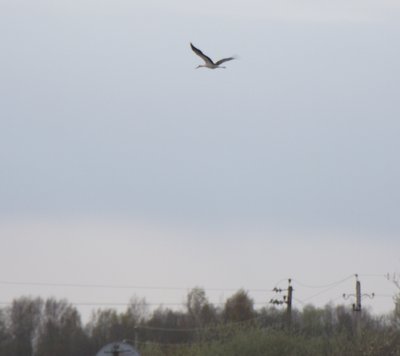 DSCF5074.JPG