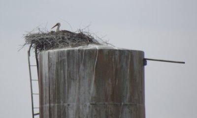 DSCF5075.JPG