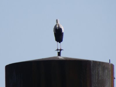 DSCF5334.JPG