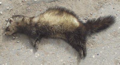 DSCF5352.JPG