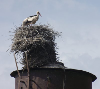 DSCF5553.JPG