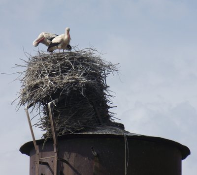 DSCF5554.JPG
