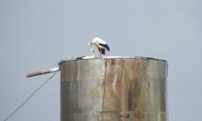DSCF5557.JPG