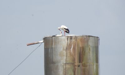 DSCF5558.JPG