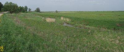 DSCF5569.JPG