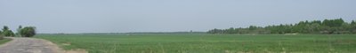 DSCF5582.JPG