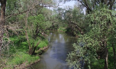 DSCF5576.JPG