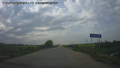 Яблоня.jpg