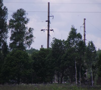 DSCF5610.JPG