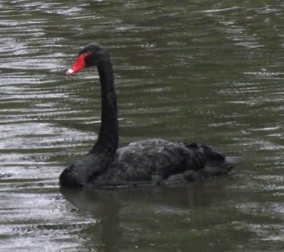 DSCF5629.JPG