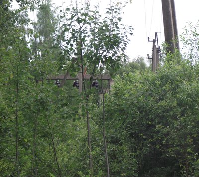 DSCF5645.JPG