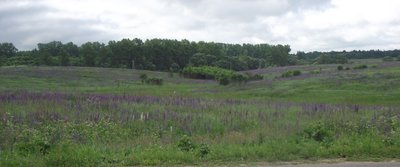 DSCF5644.JPG