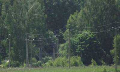 DSCF5715.JPG