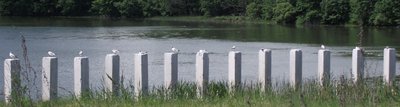 DSCF5709.JPG