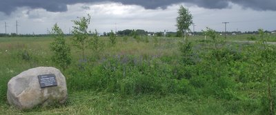 DSCF5753.JPG