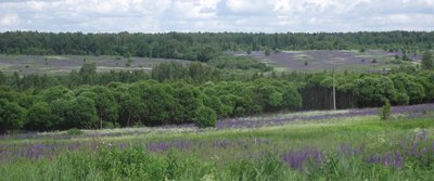 DSCF5740.JPG