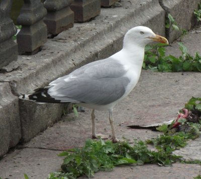 DSCF6047.JPG