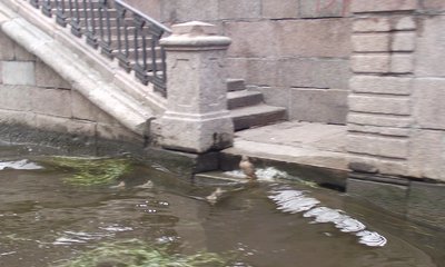 DSCF6125.JPG