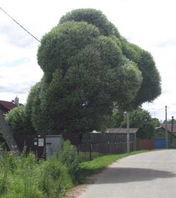 DSCF7154.JPG