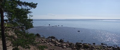 DSCF6711.JPG
