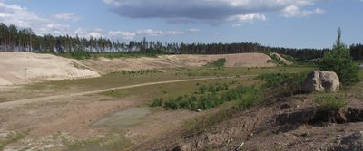 DSCF6714.JPG