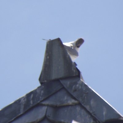 DSCF6439.JPG