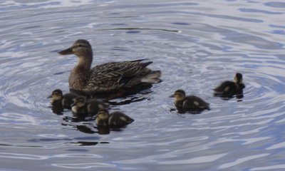 DSCF6511.JPG