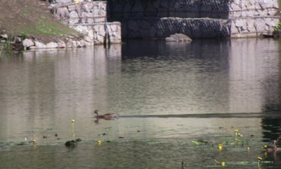 DSCF6570.JPG